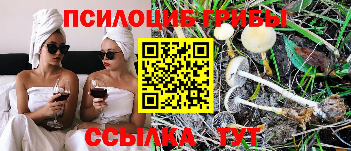 Галлюциногенные грибы ЛСД Великий Устюг