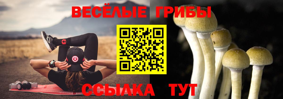 Псилоцибиновые грибы Cubensis  Вход с VPN  Галлюциногенные грибы MAGIC MUSHROOMS  Великий Устюг 